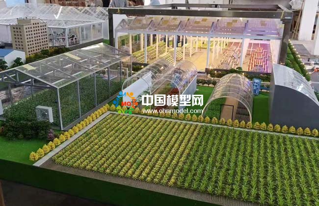  農(nóng)業(yè)大棚模型，畜牧養(yǎng)殖沙盤模型 